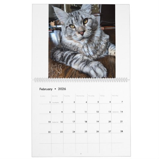 Herr Welpe-Socke Calendar Kalender (Feb 2026)