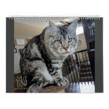 Herr Welpe-Socke Calendar