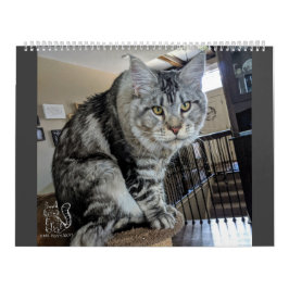 Herr Welpe-Socke Calendar Kalender