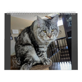 Herr Welpe-Socke Calendar Kalender