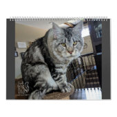 Herr Welpe-Socke Calendar Kalender (Titelbild)