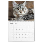 Herr Welpe-Socke Calendar Kalender (Jan 2027)