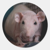 Herr Wiggles Runder Aufkleber (Vorderseite)