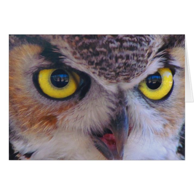 Herr Wilson Card (Vorderseite (Horizontal))