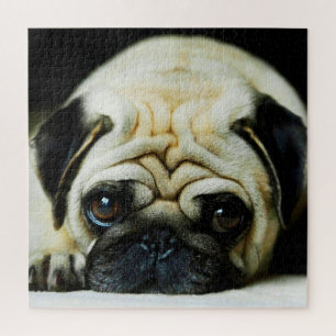 Herr Wrinkles Puzzle