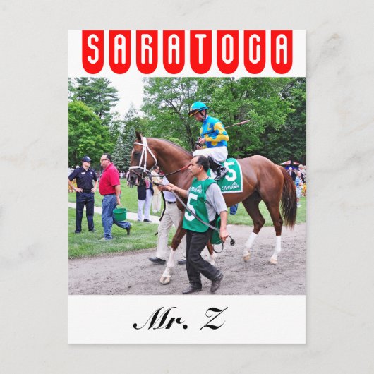 Herr Z in den 100. Sanford Stakes Postkarte (Vorderseite)