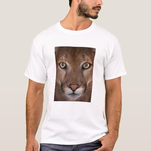 Herrencougar-T - Shirt (Vorderseite)