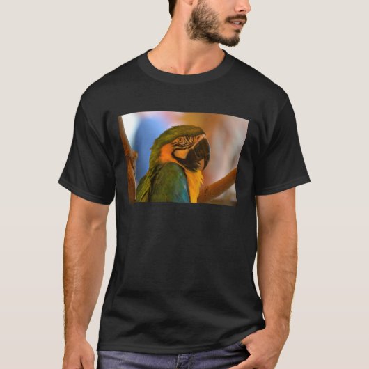 Herrenparrot-Tee-Hemd T-Shirt (Vorderseite)