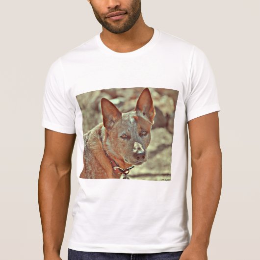 Herrenultra Cotton "Boomer" Red Heeler Tee Shirt. (Vorderseite)