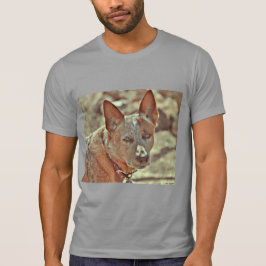 Herrenultra Cotton "Boomer" Red Heeler Tee Shirt.