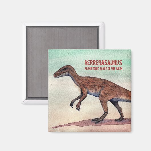Herrerasaurus Magnet (Vorderseite/Rückseite)