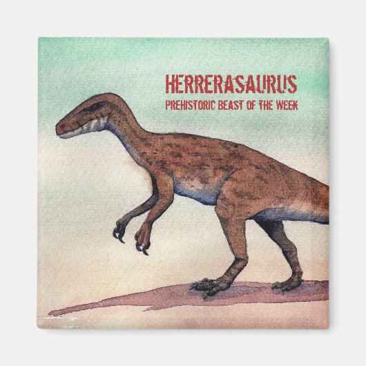 Herrerasaurus Magnet (Vorne)