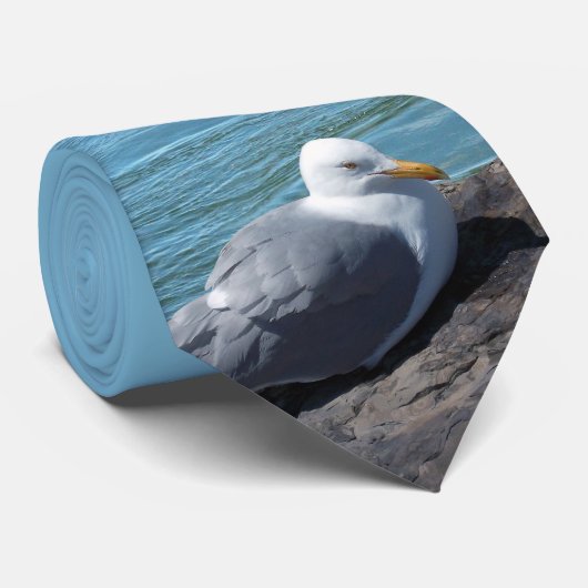 Herring Gull auf Rock Jetty Krawatte (Gerollt)