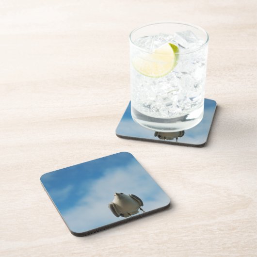 Herring Gull Cork Untersetzer (Rechte Seite)