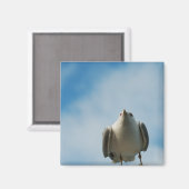 Herring Gull Magnet (Vorderseite/Rückseite)