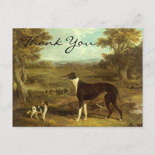 Herrings Greyhound und Spaniel; Doctor Fop Postkarte