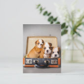 Herrliche Bulldoggen Welpen | Hund Lover Einladung (Stehend Vorderseite)