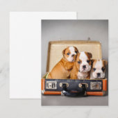 Herrliche Bulldoggen Welpen | Hund Lover Einladung (Vorne/Hinten)