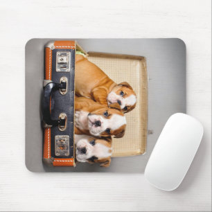 Herrliche Bulldoggen Welpen Hund Lover Mousepad