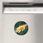 Herrliche Daisy-Blumenfotografie Magnet (In Situ (Geschirrspüler))