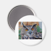 HERRLICHE EULEN-AUGEN MAGNET (Vorderseite/Rückseite)