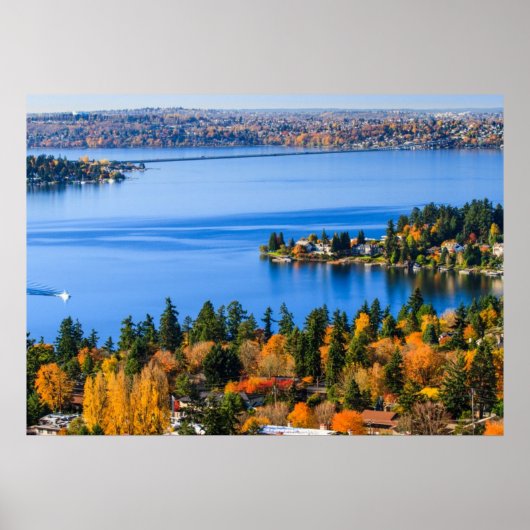 Herrliche Farben im Bellevue Poster (Vorne)