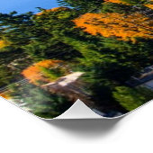 Herrliche Farben im Bellevue Poster (Ecke)