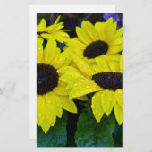 HERRLICHE GARTEN-SONNENBLUMEN BRIEFPAPIER (Vorne/Hinten)