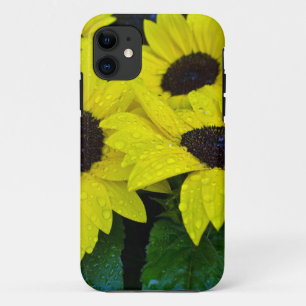 HERRLICHE GARTEN-SONNENBLUMEN Case-Mate iPhone HÜLLE