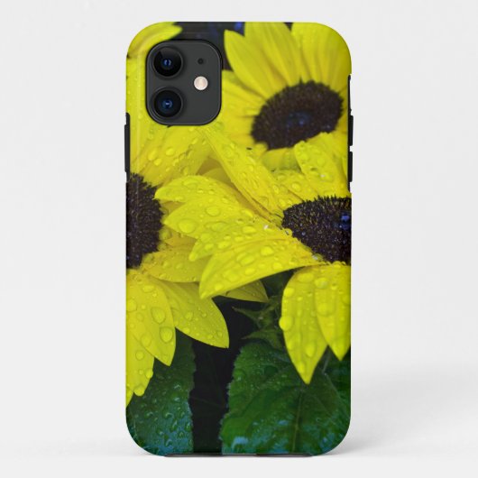 HERRLICHE GARTEN-SONNENBLUMEN Case-Mate iPhone HÜLLE (Rückseite)