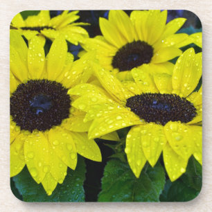 HERRLICHE GARTEN-SONNENBLUMEN UNTERSETZER