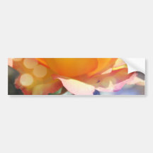 Herrliche gelbe Rosenrose Blume. Blumenfotografie.