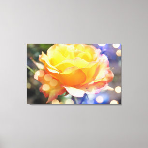 Herrliche gelbe Rosenrose Blume. Blumenfotografie Leinwanddruck