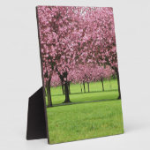HERRLICHE KIRSCHE MIT BLUMEN FOTOPLATTE (Seite)