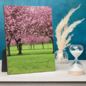 HERRLICHE KIRSCHE MIT BLUMEN FOTOPLATTE (Seite)