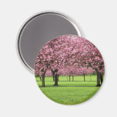 HERRLICHE KIRSCHE MIT BLUMEN MAGNET (Vorderseite/Rückseite)