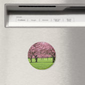 HERRLICHE KIRSCHE MIT BLUMEN MAGNET (In Situ (Geschirrspüler))