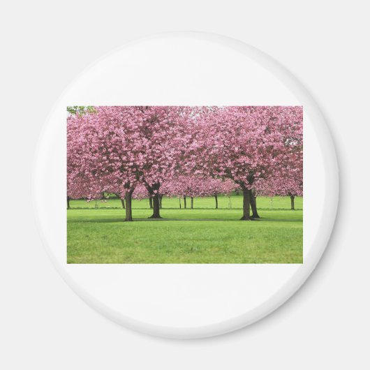 HERRLICHE KIRSCHE MIT BLUMEN MAGNET (Vorne)
