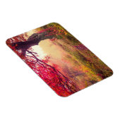 Herrliche Landschaft mit Herbstbäumen im Wald Magnet (Rechte Seite)