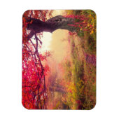 Herrliche Landschaft mit Herbstbäumen im Wald Magnet (Vertikal)