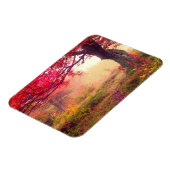 Herrliche Landschaft mit Herbstbäumen im Wald Magnet (Linke Seite)