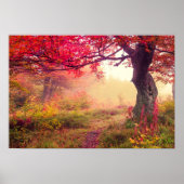 Herrliche Landschaft mit Herbstbäumen im Wald Poster (Vorne)