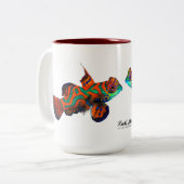Herrliche Mandarinische Tasse, Synchiropus splendi Zweifarbige Tasse (Vorderseite Links)