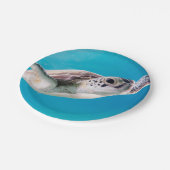 Herrliche Meeresschildkröte-Schwimmen im Ozean Pappteller (Schrägansicht)