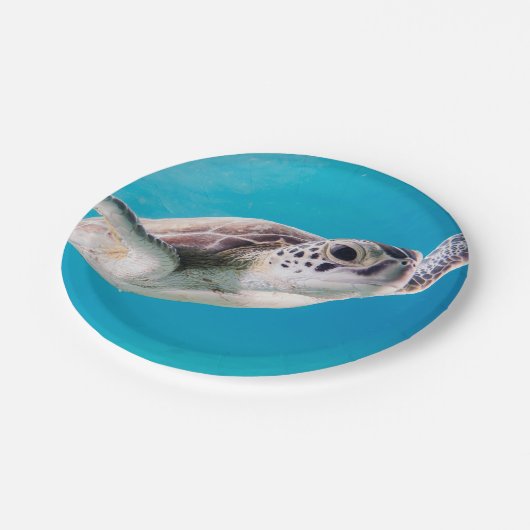 Herrliche Meeresschildkröte-Schwimmen im Ozean Pappteller (Schrägansicht)