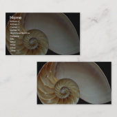 Herrliche Nautilus-Muschel Visitenkarte (Vorne/Hinten)