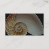 Herrliche Nautilus-Muschel Visitenkarte (Rückseite)
