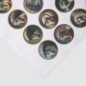 Herrliche Pferdeköpfe in einem Kreis Seidenpapier (Ausschnitt)