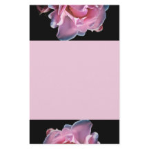 Herrliche rosa Rose auf Schwarzem