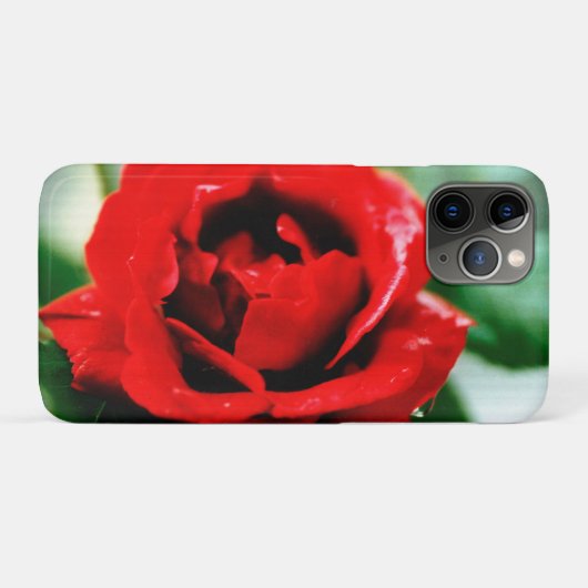 Herrliche rote Rose mit Morgentauben Case-Mate iPhone Hülle (Rückseite (Horizontal))